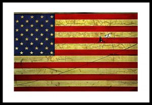 Trumpland - bilden av Amerikanska flaggan som klistermärke på The L-Train i New York är ett statement. En symbol för rädslan för vår framtid i Trumpland med sin krackelerade etik och moral. Text Håkan Ludwigson 